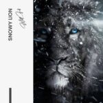 Design-signature-tinypng.jpg