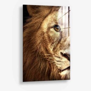 Bundel: Lion & lioness Color (2x) - Glass - Kopiëren