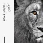 LionLionessIDesign-signature---tiny.jpg