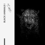 Design-signature---tiny-(1).jpg