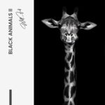 Design-signature---tiny.jpg