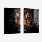 Set: "Tiger face" (2x) – Glas