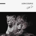 Lion Couple – Glas - Bild 4