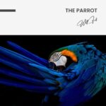 The Parrot – Glas - Bild 4