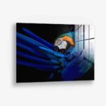 The Parrot – Glas