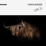Highlander – Glas - Bild 4