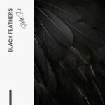 Black Feathers – Glas - Bild 4