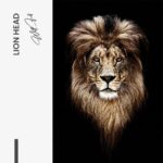 Lion Head – Glas - Bild 4