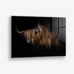Highlander – Glas