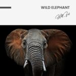 Wild Elephant – Glas - Bild 5
