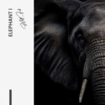 Set: "Elephant" (2x) – Glas - Bild 4