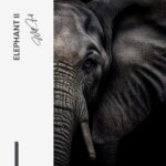 Set: "Elephant" (2x) – Glas - Bild 5