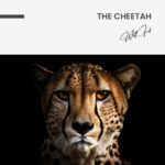 The Cheetah – Glas - Bild 4