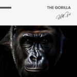 The Gorilla – Glas - Bild 4