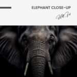 Elephant Close-Up – Glas - Bild 4