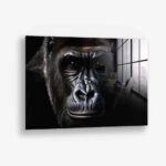 The Gorilla – Glas
