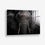 Elephant Close-Up – Glas