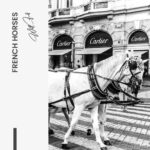 French Horses – Glas - Bild 4
