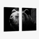 Set: "Big Bear" (2x) – Glas