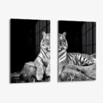 Set: "White Tiger" (2x) – Glas