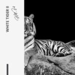 Set: "White Tiger" (2x) – Glas - Bild 6
