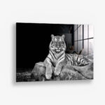 White Tiger – Glas
