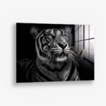 B&W Tiger – Glas