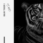 Set: "B&W Tiger" (2x) – Glas - Bild 4