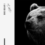 Set: "Big Bear" (2x) – Glas - Bild 4