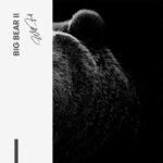 Set: "Big Bear" (2x) – Glas - Bild 5