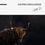 Gazing Highlander – Glas - Bild 3