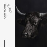 Cow Horns – Glas - Bild 3