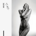 Muse – Glas - Bild 4