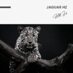Jaguar HZ – Glas - Bild 4