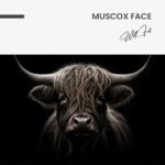 Muscox Face – Glas - Bild 4