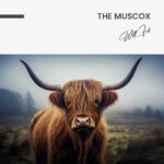The Muscox – Glas - Bild 4