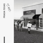 Prada Texas – Glas - Bild 4