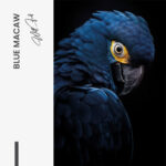 Blue Macaw – Glas - Bild 4