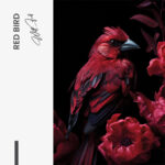 Red Bird – Glas - Bild 4
