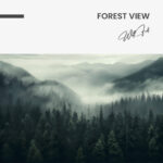 Forest View – Glas - Bild 4