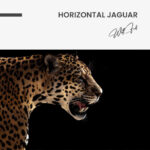 Horizontal Jaguar – Glas - Bild 4