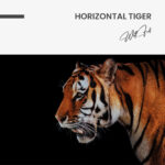 Horizontal Tiger – Glas - Bild 4