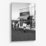 Prada Texas – Glas