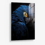 Blue Macaw – Glas