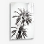 Under The Palm Trees – Glas