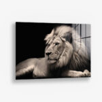 King of the Wild – Glas