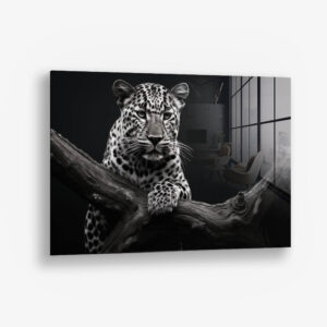 Jaguar HZ – Glas