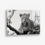 Jaguard In The Tree – Glas