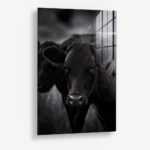 The Cow – Glas