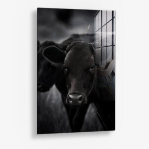 The Cow – Glas